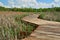 Footbridge across wetland after rain