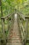 Footbridge on the Appalachian Trail