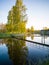 Footbridge Connecting to Island, Beautiful Yellow Birch Tree Reflection in Lake on Sunny Day