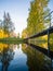 Footbridge Connecting to Island, Beautiful Yellow Birch Tree Reflection in Lake on Sunny Day