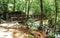 Footbridge Crossing Catawba River along Trail