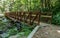 Footbridge Crossing Catawba River along Trail