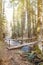 Footbridge crossing a pure mountain river in the forest