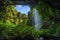 Footbridge and Crystal Falls in the Rainforest of Dorrigo National Park
