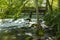 Footbridge and Dam In The Woods