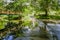 Footbridge and ford on a stream in a wooded area.