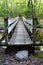 Footbridge in the Forest