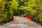 Footbridge in a Japanese Garden