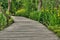 Footbridge in Krka National Park, Croatia,