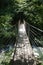 Footbridge leading to forest in beautiful tolmin gorges in triglav national park, slovenia