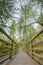 Footbridge leading towards High Dam Tarn