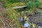 Footbridge over a Creek