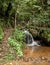 Footbridge over a creek in Costa Rica