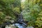 Footbridge over Hardy Creek from Rodney Falls in Beacon Rock State Park, Washington, USA