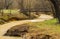 A Footbridge Over Mud Lick Creek at High Water