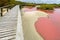 Footbridge over the pink water lagoon, Isabela island, Ecuador