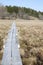 A footbridge over a swamp along a hiking trail