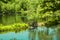 Footbridge over a tranquil lake