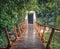 Footbridge at Penang national park, Malaysia