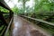 The footbridge on a rainy afternoon.