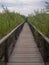 footbridge thorough and bird watch post