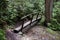 Footbridge on a trail in the Great Smokey Mountains National Park 2018