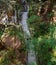 Footbridge trails in Capilano suspension bridge park, North Vancouver, Canada