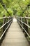 Footbridge in tropical jungle