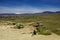 The Foothills above Boise, Idaho