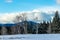 Foothills peak out from behind and above the trees. Jumping Pound Demonstration forest Natural Area, Alberta, Canada