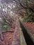 Foothpath hiking along water irrigation channel in Madeira, mood