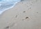 Footmark on the Sand on Beach.