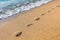 Footmarks on the sandy beach