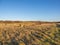 Footpath at Aberlady Bay Local Nature Reserve