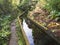 Footpath along Lavada - water irrigation canals covered by moss and lush vegetation on hiking trail Praia Lagoa de Fogo