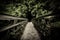 Footpath along an old wooden bridge