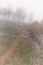 Footpath along the pond on a foggy autumn morning. Hoarfrost on plants