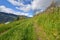 Footpath in alpine mountain crossing greenery meadow