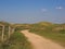 Footpath in the Amsterdam water supply dunes near to Amsterdam and Zandvoort