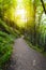 Footpath around the Lake Pavin in Auvergne