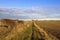 Footpath in autumn