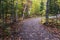 Footpath in autumn park, Thomas Rock, Marquette County, Michigan, USA