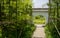 Footpath in bamboo to traditional arch gate in sunny summer afternoon