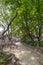 Footpath behind the Deoksugung Palace in Seoul