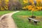 Footpath and bench in autumnal park.