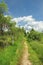 Footpath through bogland, nature protection area