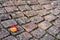 Footpath brick blocks with red apple, the beautiful pathway  in the public park in the morning - image