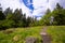 Footpath in clearing among the rocks and trees