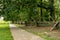 Footpath through the Countryside Beside Split Rail Fence