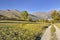 Footpath crossing meadow in alpine mountain